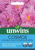 Cosmos Double Click Rose Bon Bon