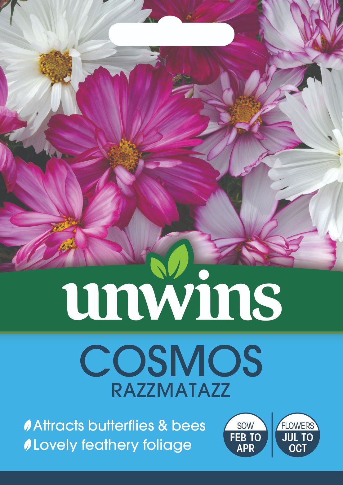 Cosmos Razzmatazz