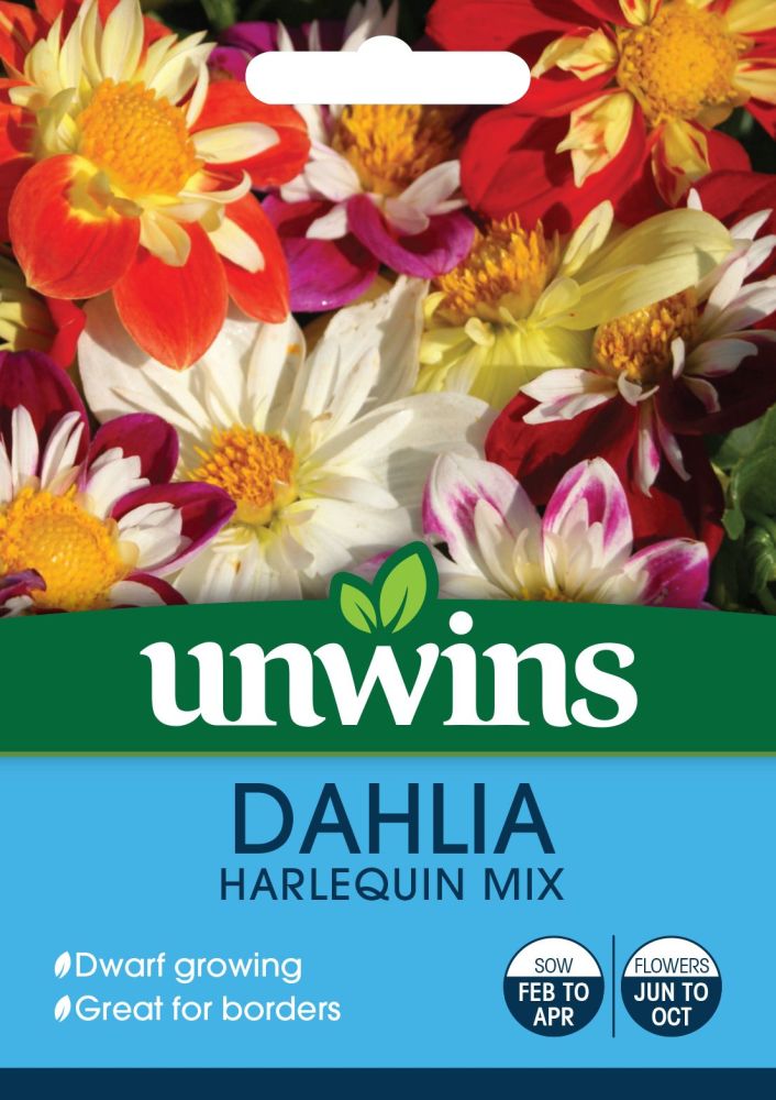 Dahlia Harlequin Mix