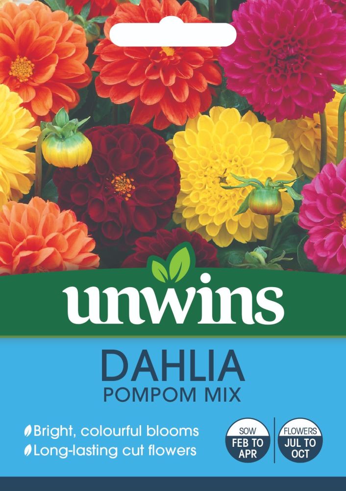 Dahlia Pompom Mix