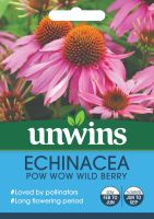 Echinacea Pow Wow Wild Berry