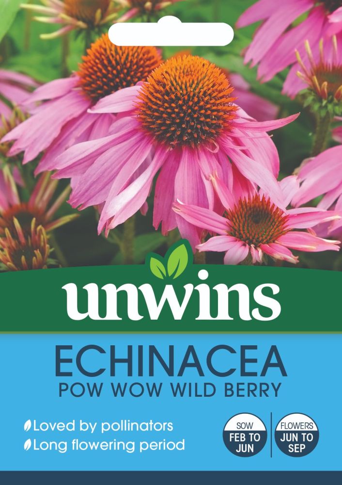 NH Echinacea Pow Wow Wild Berry