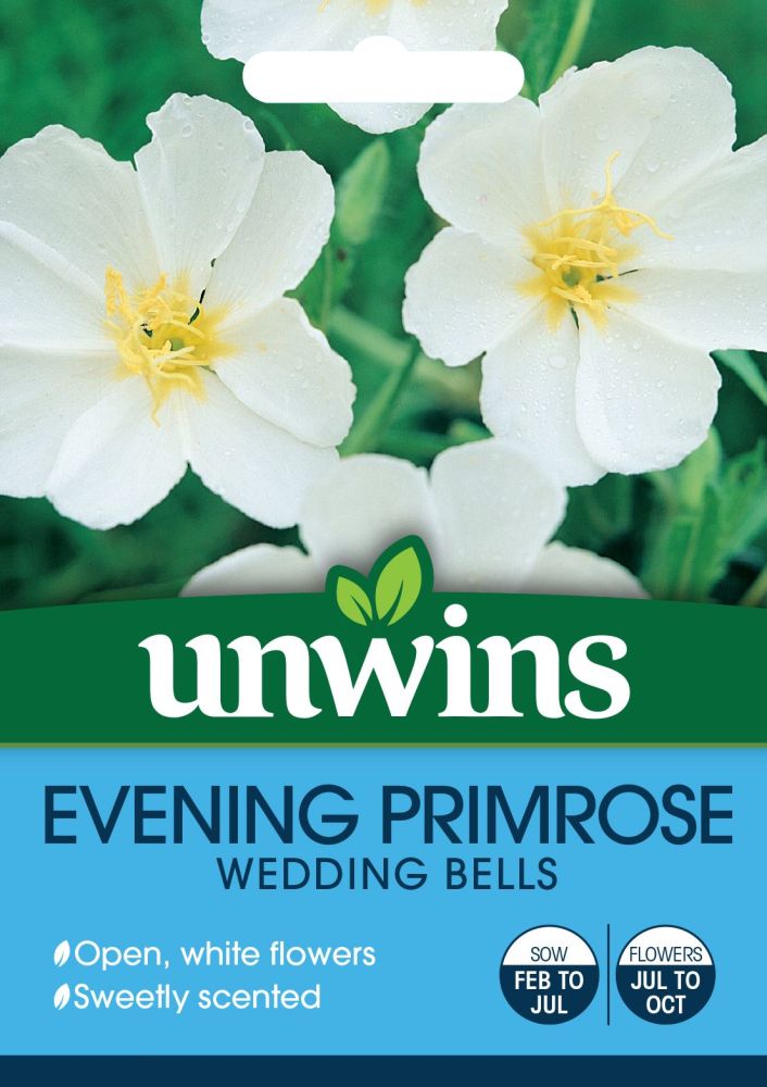 Evening Primrose Wedding Bells
