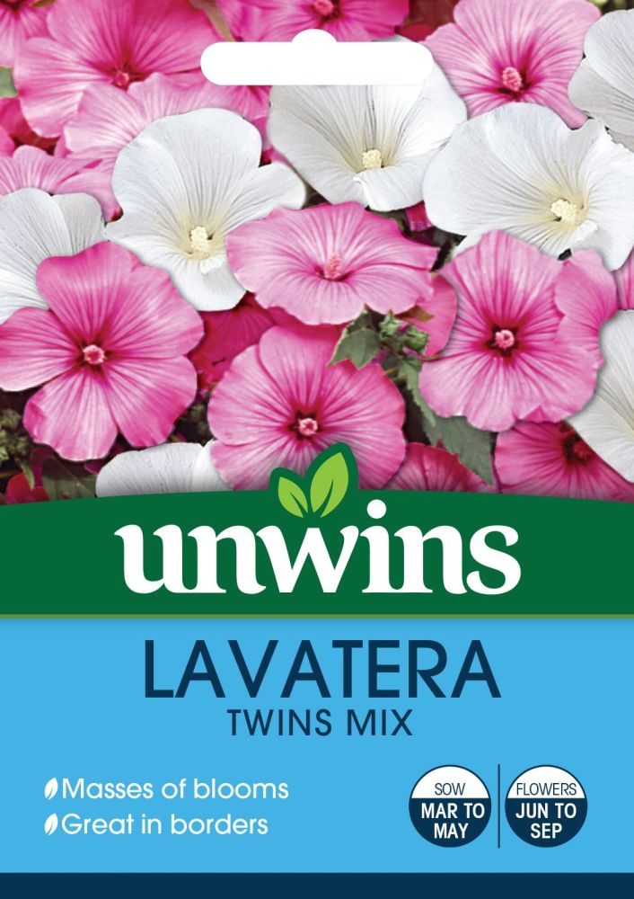 Lavatera Twins Mix