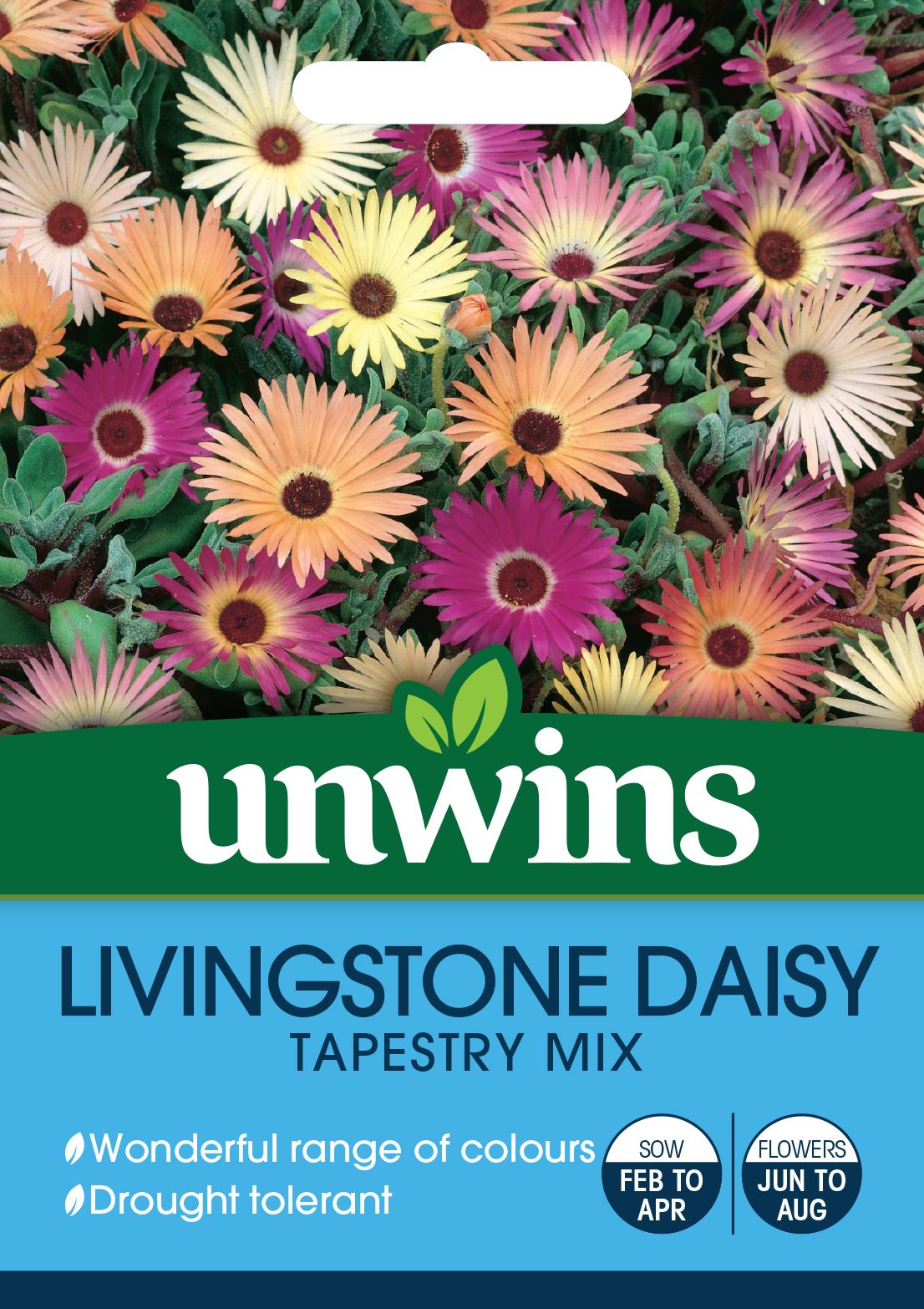 Livingstone Daisy Tapestry Mix