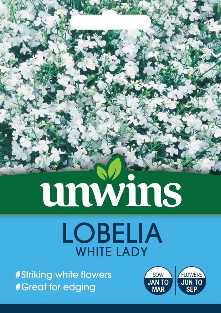 Lobelia White Lady (Bush)