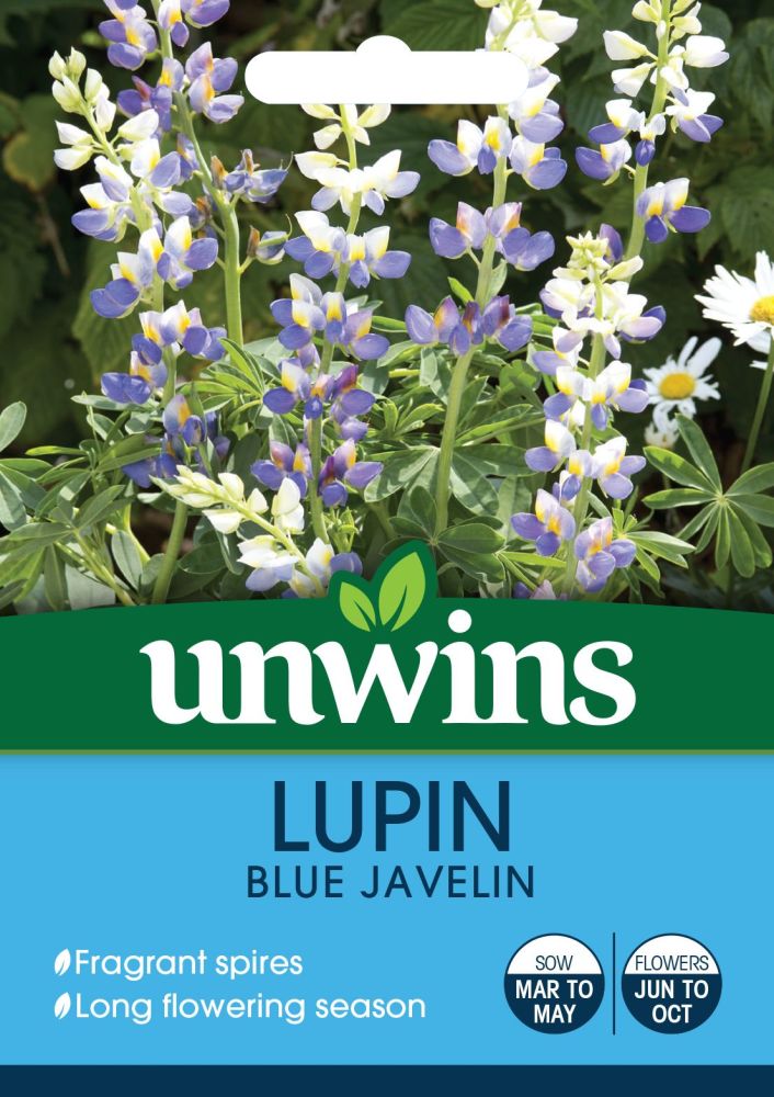 Lupin Blue Javelin
