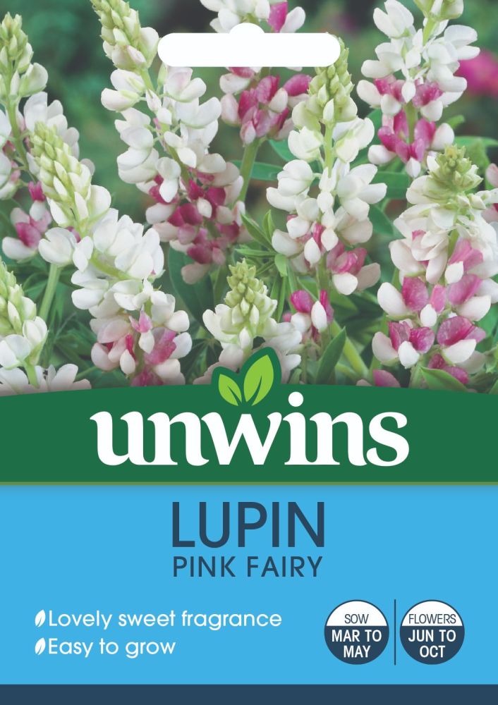 Lupin Pink Fairy