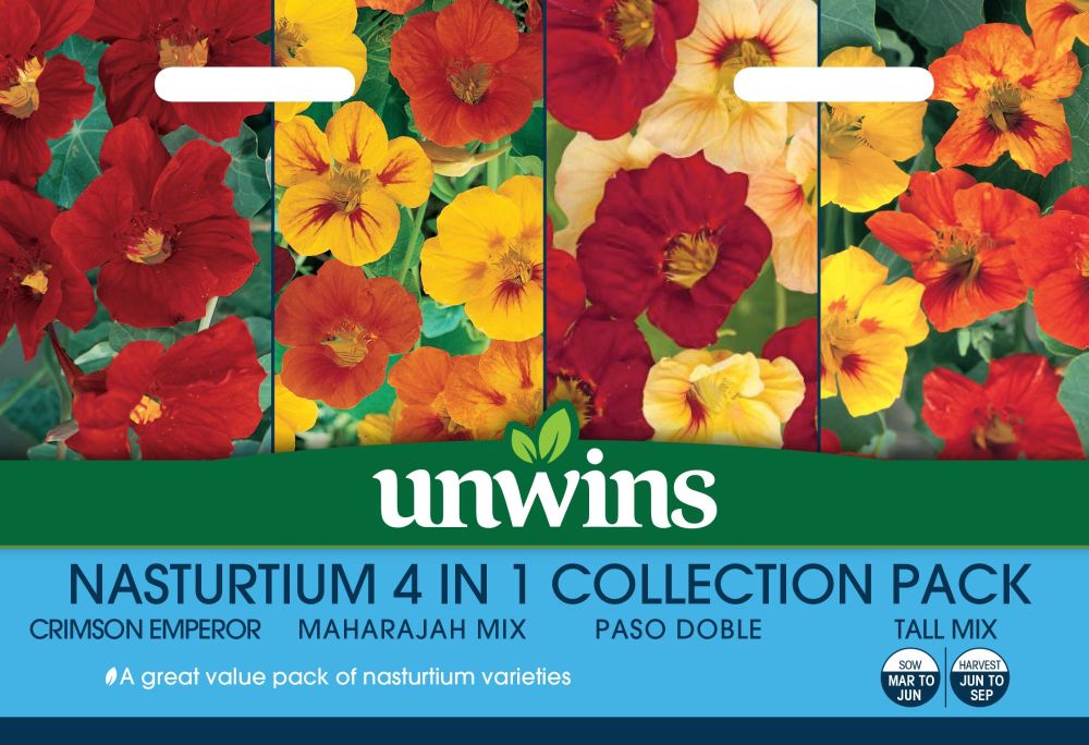 Nasturtium 4 in 1 Collection Pack