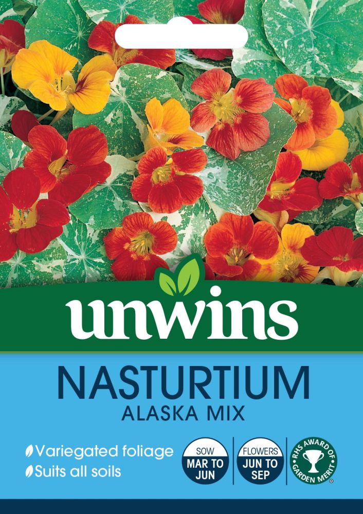 Nasturtium Alaska Mix