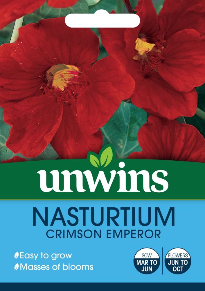 Nasturtium Crimson Emperor