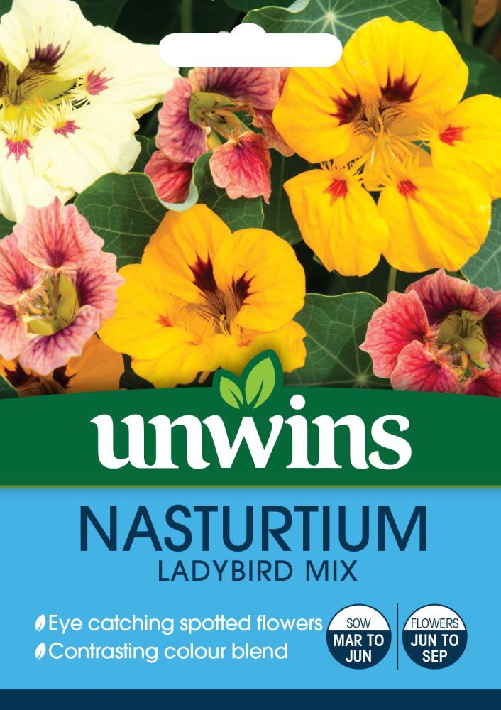 Nasturtium Ladybird Mix