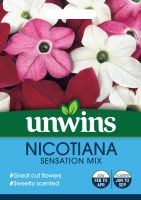 Nicotiana Sensation Mix 
