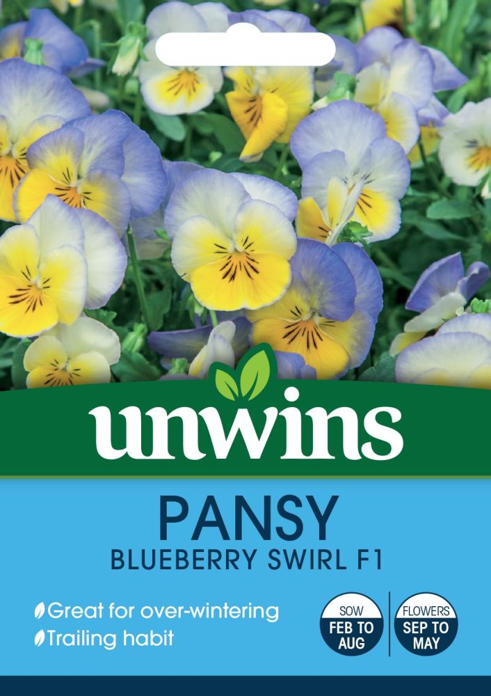 Pansy Blueberry Swirl