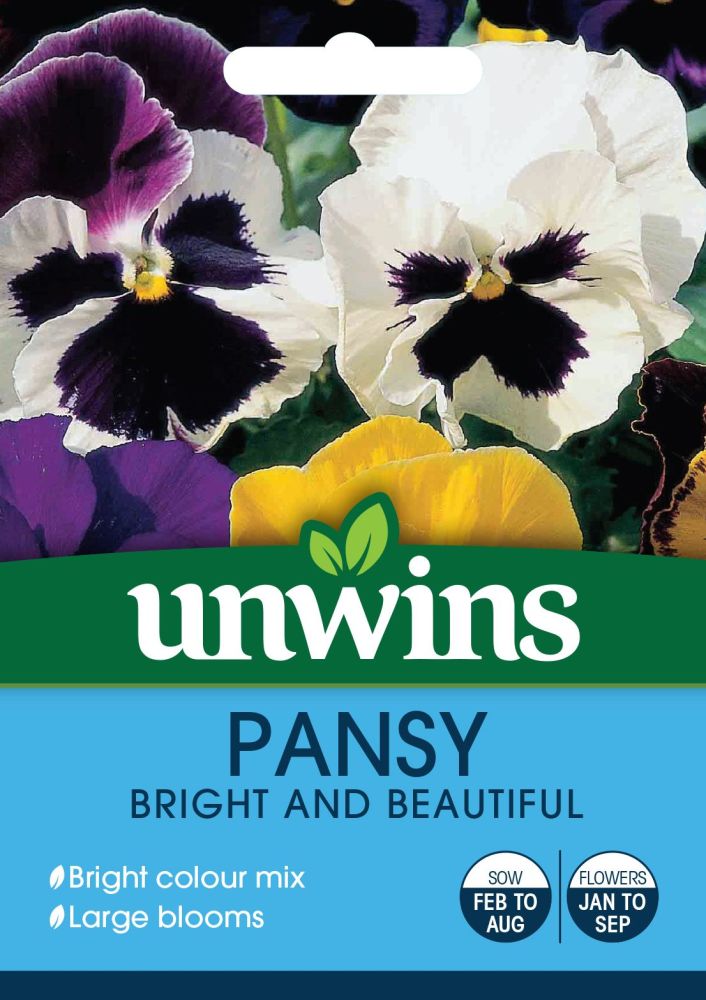 Pansy Bright and Beautiful