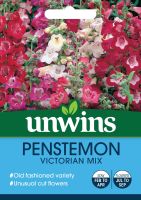 Penstemon Victorian Mix