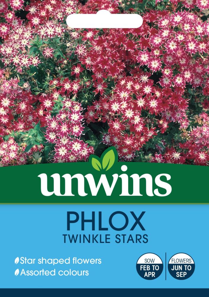 Phlox Twinkle Stars