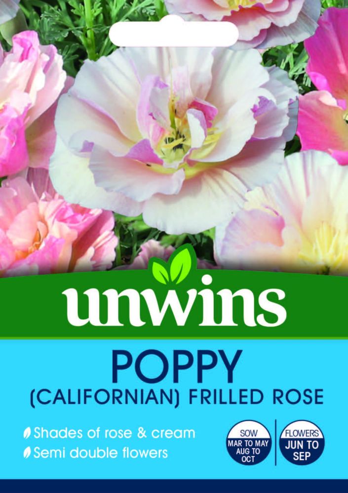 Poppy (Californian) Frilled Rose