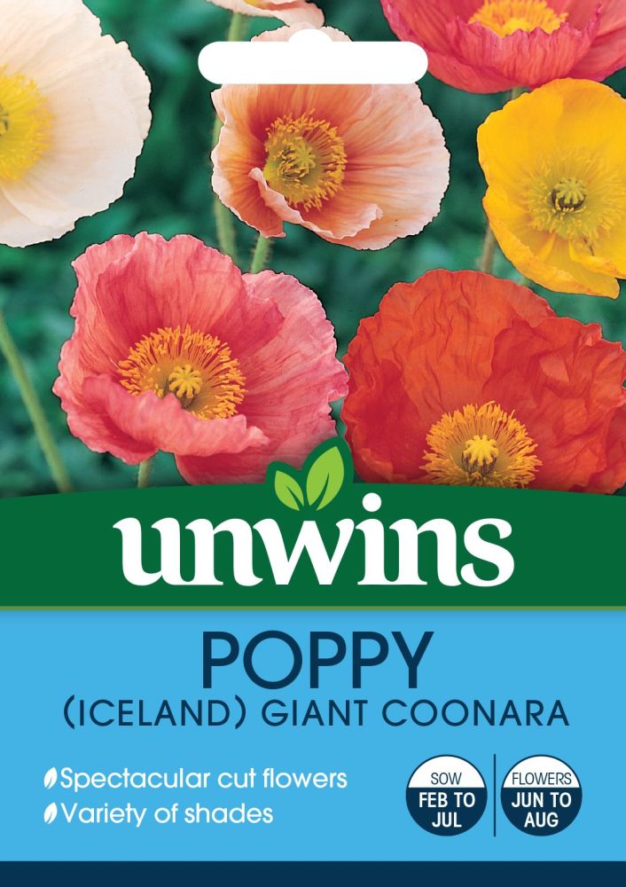 Poppy (Iceland) Giant Coonara