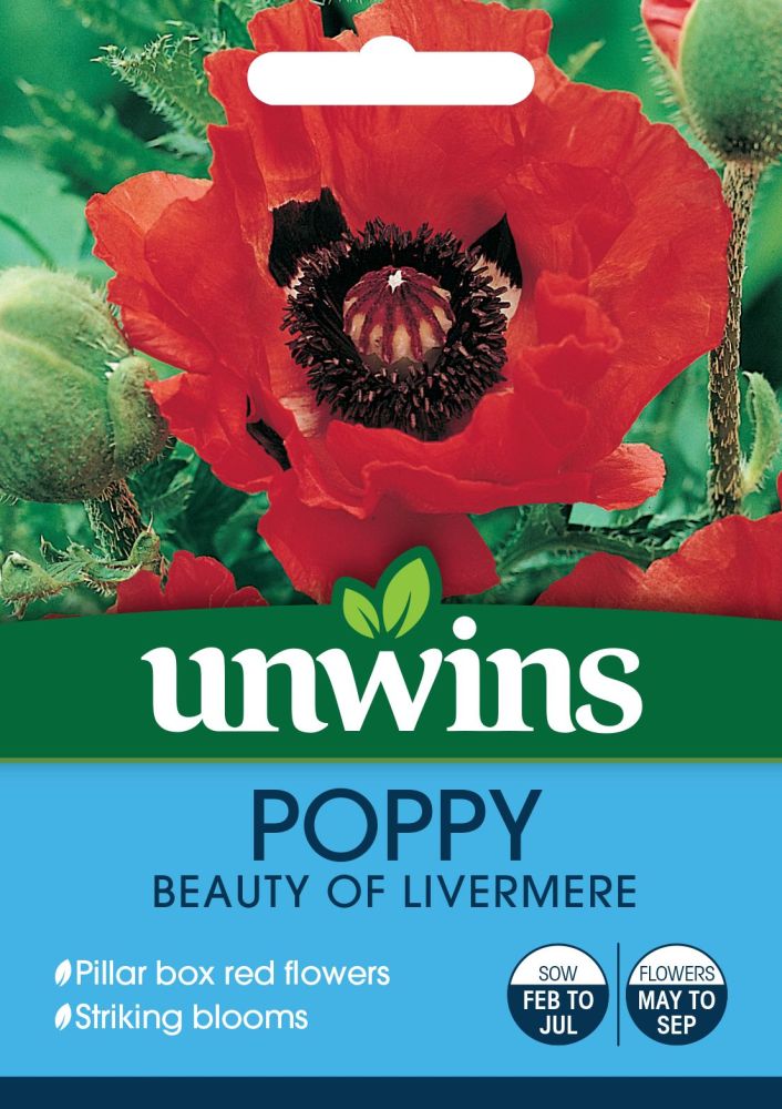 Poppy Beauty of Livermere