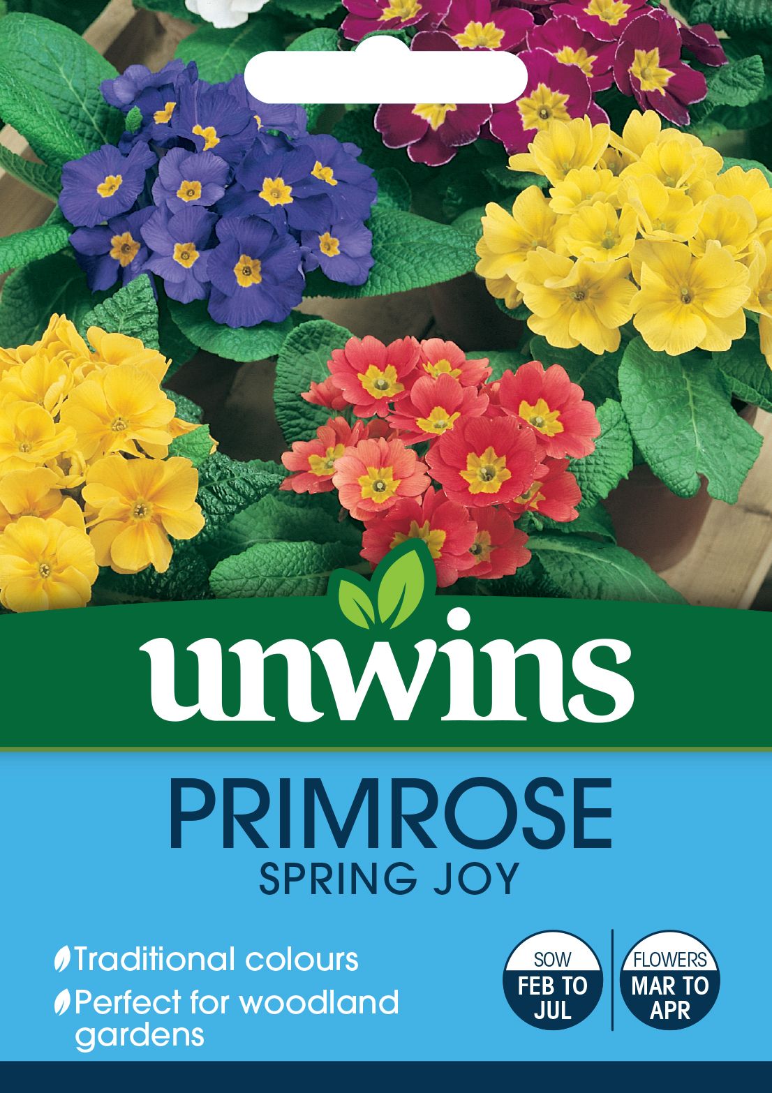 Primrose Spring Joy