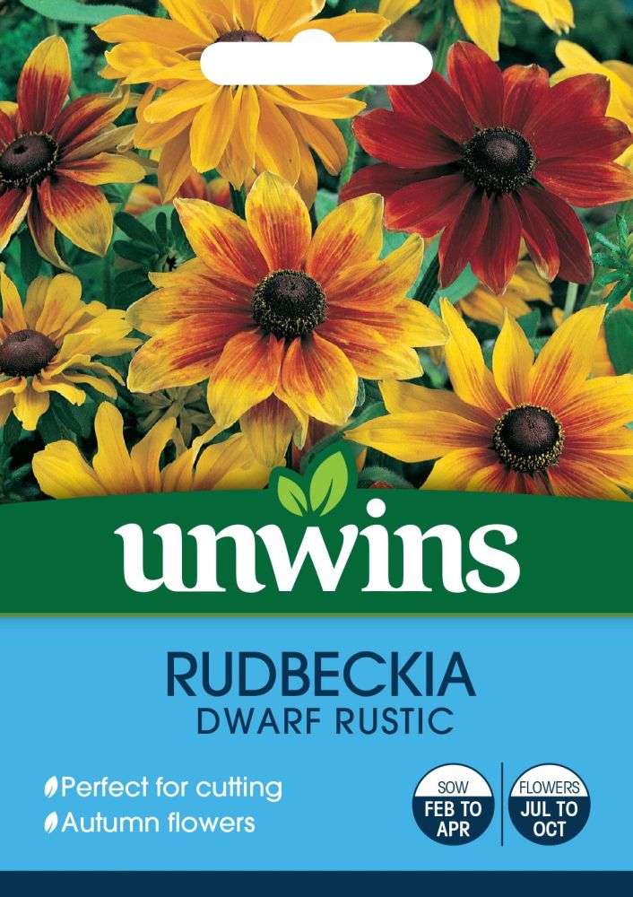 Rudbeckia Dwarf Rustic