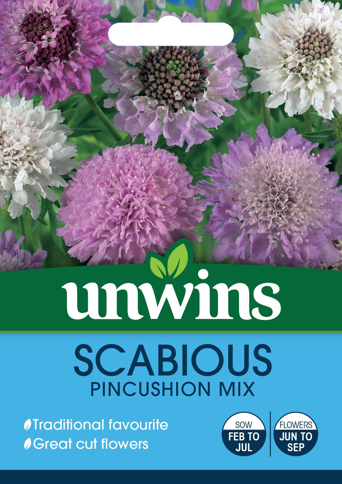 Scabious Pincushion Mix