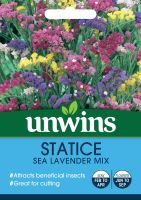 Statice Sea Lavender Mix