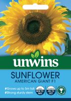 Sunflower American Giant F1
