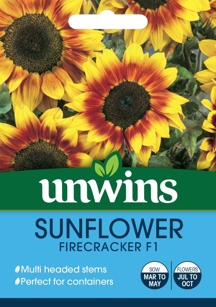 Sunflower Firecracker F1
