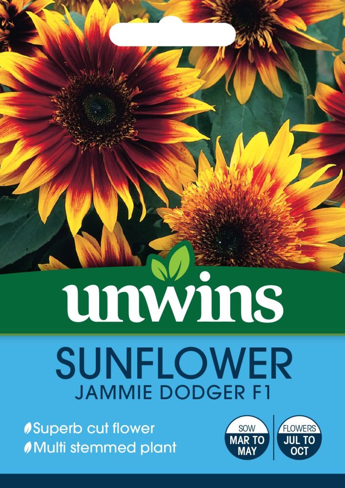 Sunflower Jammie Dodger F1