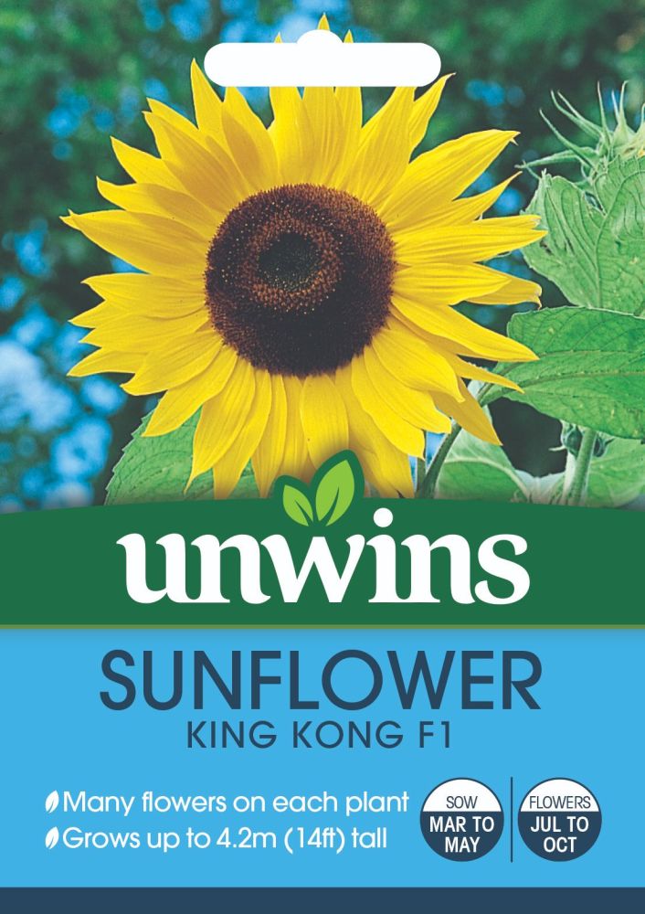 Sunflower King Kong F1