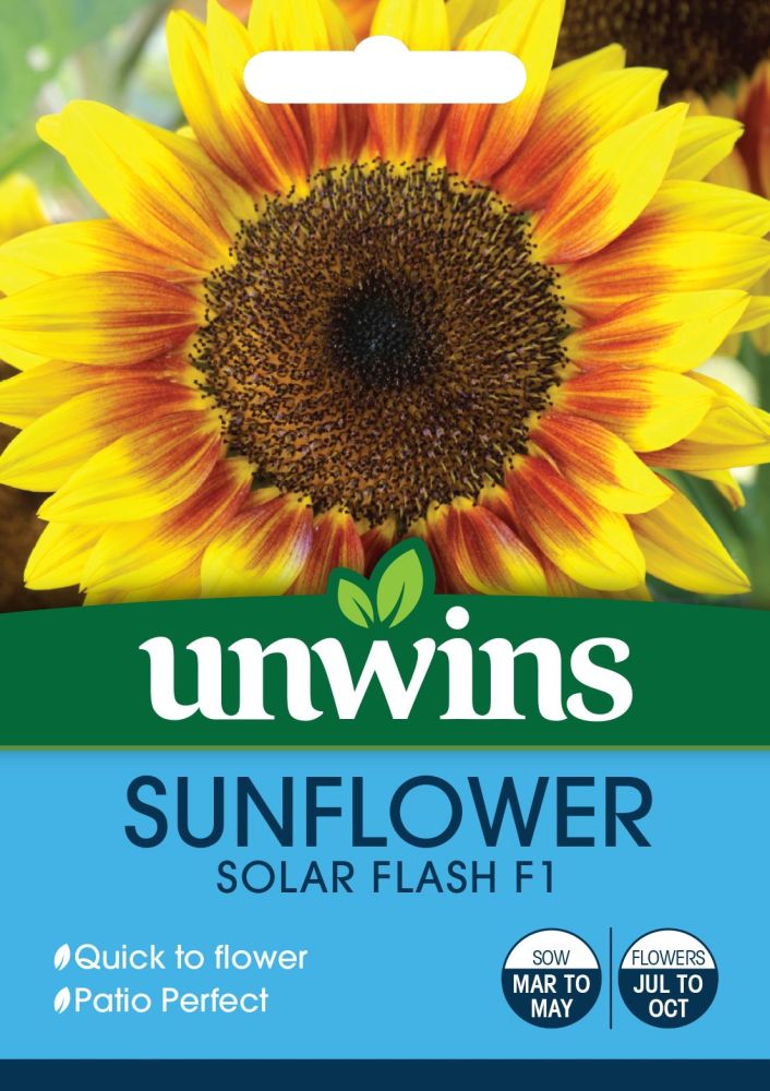 Sunflower Solar Flash F1