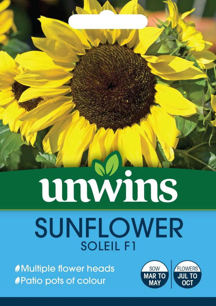Sunflower Soleil F1