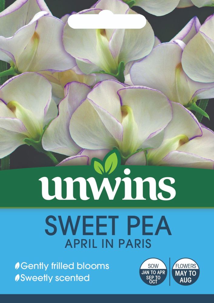 Sweet Pea April in Paris