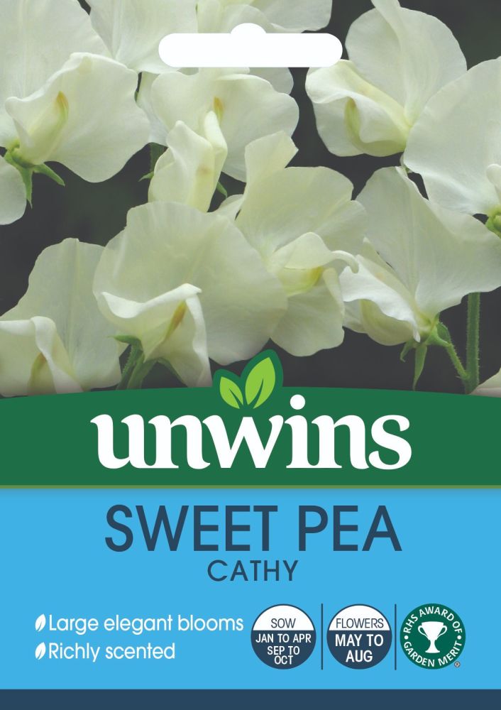 Sweet Pea Cathy
