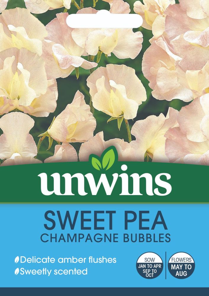 Sweet Pea Champagne Bubbles