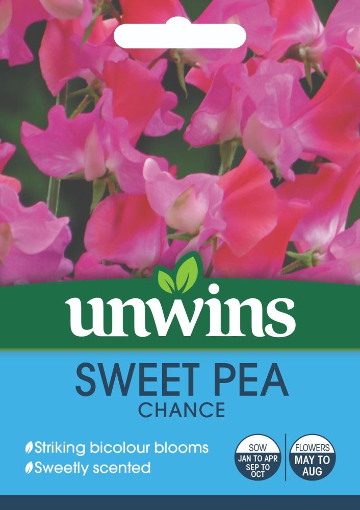 Sweet Pea Chance