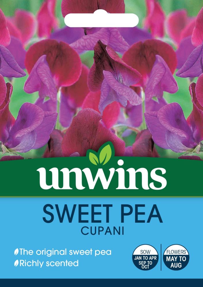 Sweet Pea Cupani