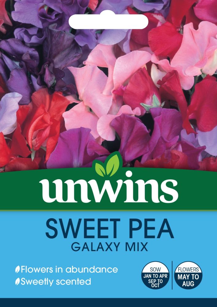 Sweet Pea Galaxy Mixed