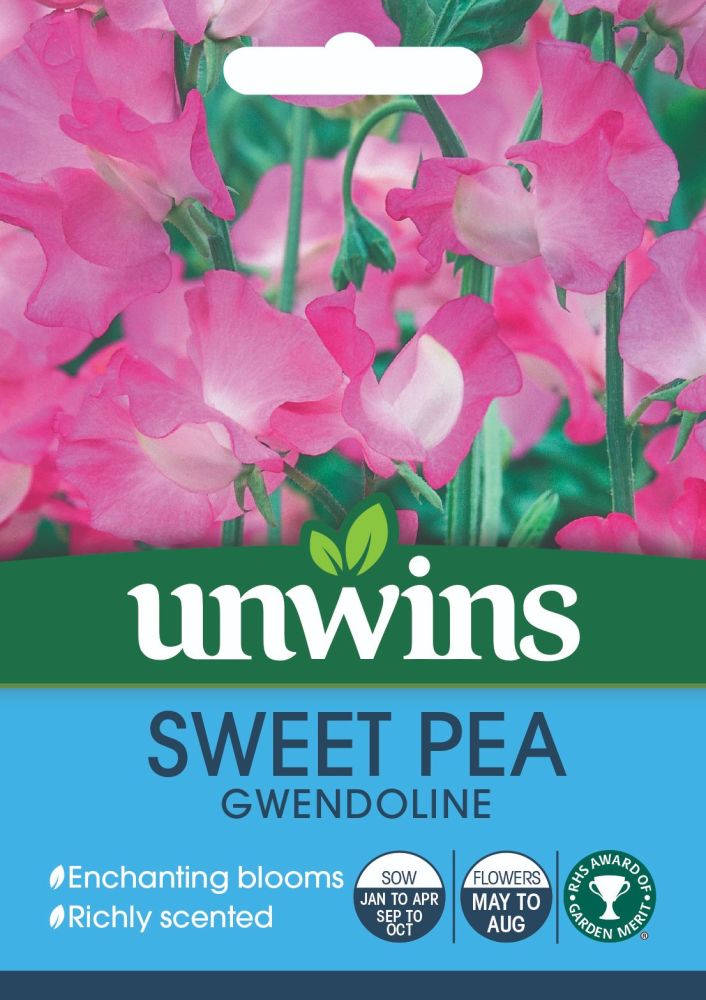 Sweet Pea Gwendoline