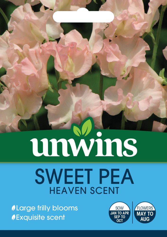 Sweet Pea Heaven Scent