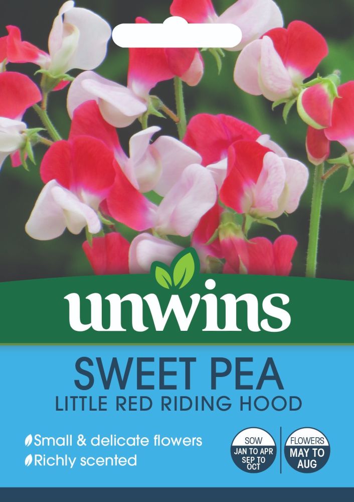 Sweet Pea Little Red Riding Hood