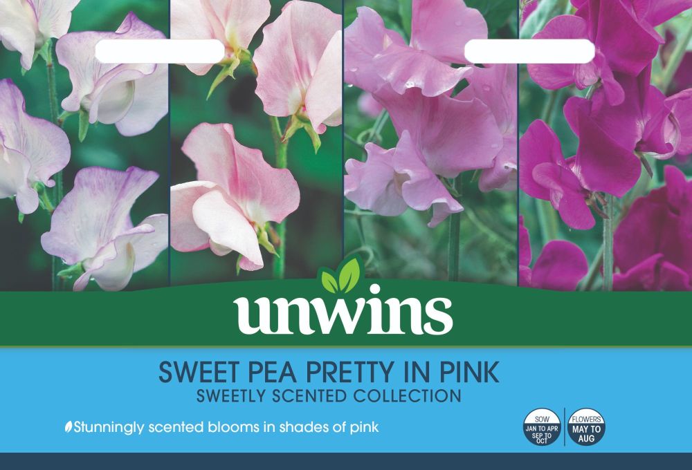 Sweet Pea Pretty in Pink Collection Pack