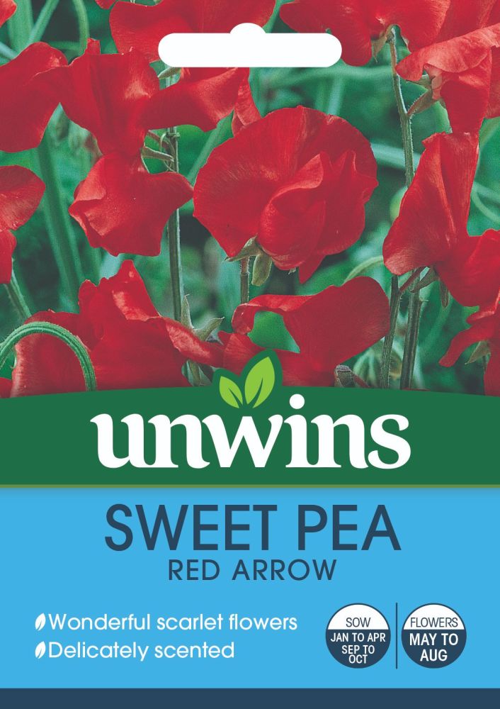 Sweet Pea Red Arrow