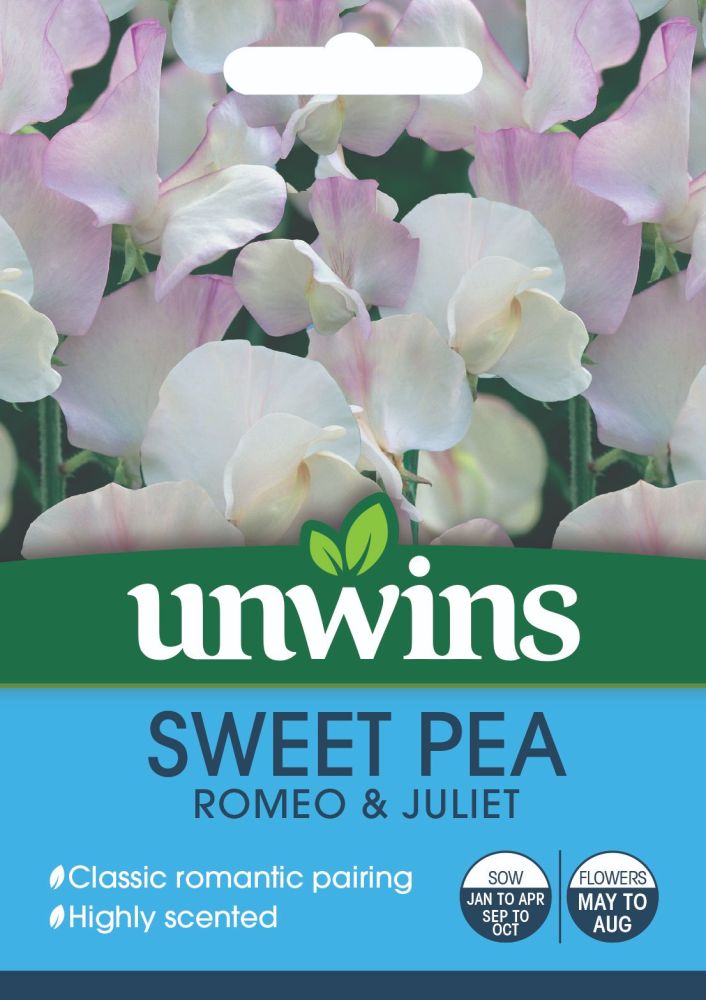 Sweet Pea Romeo & Juliet