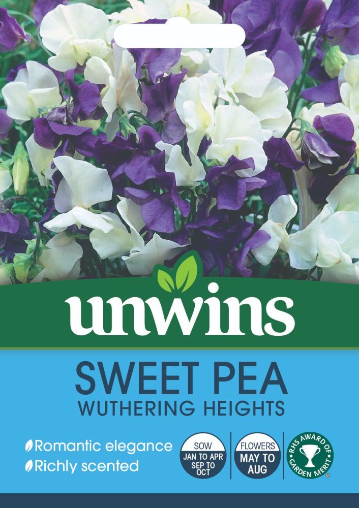Sweet Pea Wuthering Heights