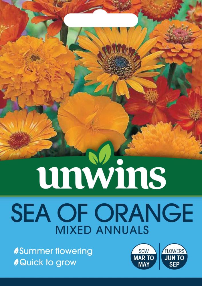 Sea of Orange Mixed Annuals