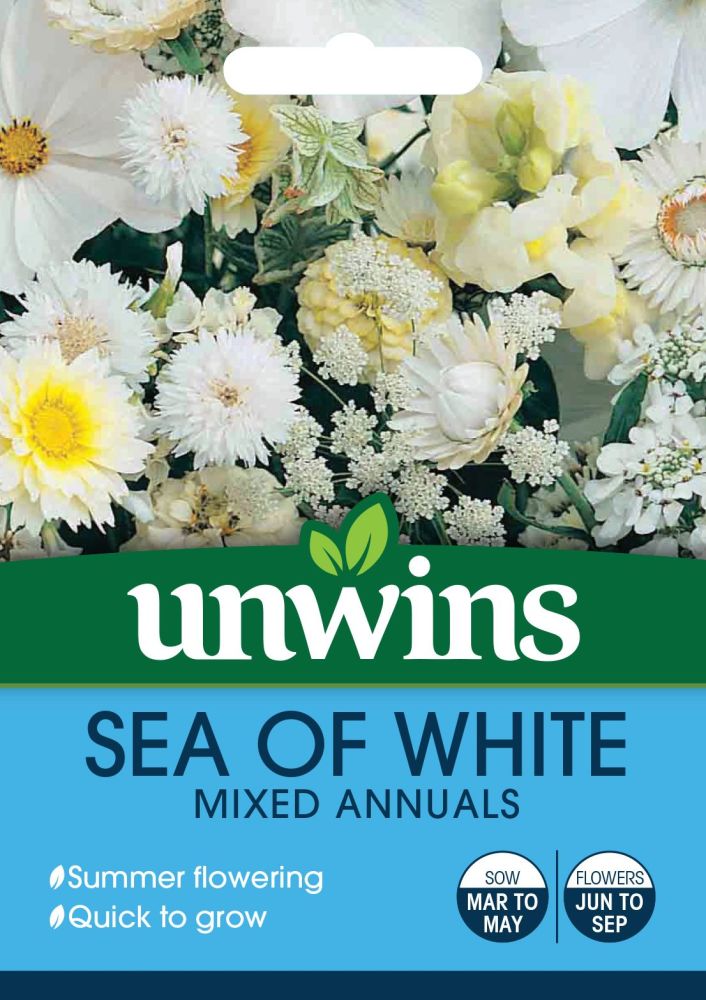 Sea of White Mixed Annuals