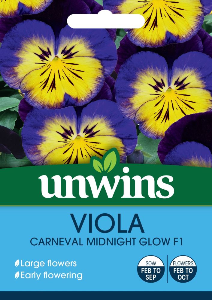 Viola Carneval Midnight Glow F1